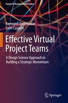 Carin Cuypers, Raymon Opdenakker, Raymond Opdenakker - Effective Virtual Project Teams