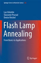 Slawomi Prucnal, Slawomir Prucnal, Lar Rebohle, Lars Rebohle, Denise Reichel - Flash Lamp Annealing