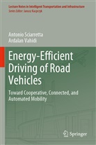 Antoni Sciarretta, Antonio Sciarretta, Ardalan Vahidi - Energy-Efficient Driving of Road Vehicles