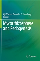 Devendra K. Choudhary, K Choudhary, K Choudhary, Aji Varma, Ajit Varma - Mycorrhizosphere and Pedogenesis