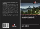 Andre Tikhomirov, Andrey Tikhomirov, Galina Tikhomirova - Gli Urali meridionali sono la patria degli indoeuropei