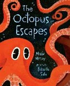 Maile Meloy, Felicita Sala, Felicita Sala - The Octopus Escapes