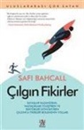 Safi Bahcall - Cilgin Fikirler