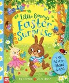 Lily Murray, Julia Woolf - Little Bunny's Easter Surprise