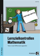 Julian Stey - Lernzielkontrollen Mathematik 9./10. Klasse