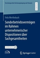 Felix Werthebach - Sonderbetriebsvermögen im Rahmen unternehmerischer Dispositionen über Sachgesamtheiten