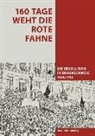 Hans-Ulrich Ludewig, Di Braunschweigische Stiftung - 160 Tage weht die rote Fahne