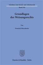 Dominik Bitzenhofer - Grundlagen des Weisungsrechts.