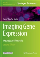 Yaro Shav-Tal, Yaron Shav-Tal - Imaging Gene Expression
