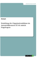 Anonym, Anonymous - Ermittlung des Organisationsklimas im Automobilkonzern XY AG mittels Fragebogens