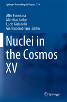 Alba Formicola, Lucio Gialanella, Lucio Gialanella et al, Gianluca Imbriani, Matthia Junker, Matthias Junker - Nuclei in the Cosmos XV