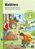 Ruth Lechner - Waldtiere