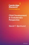 David F Bjorklund, David F. Bjorklund, David F. (Florida Atlantic University) Bjorklund - Child Development in Evolutionary Perspective