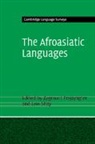 Zygmunt Frajzyngier, Frajzyngier Zygmunt, Erin Shay, Shay Erin - The Afroasiatic Languages