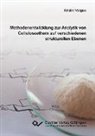 Kristin Voiges - Methodenentwicklung zur Analytik von Celluloseethern auf verschiedenen strukturellen Ebenen