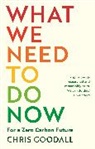 Chris Goodall - What We Need to Do Now