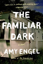 Amy Engel, Engel Amy - The Familiar Dark