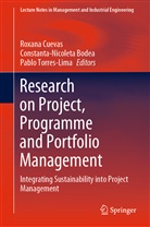 Constanta-Nicolet Bodea, Constanta-Nicoleta Bodea, Roxana Cuevas, Pablo Torres-Lima - Research on Project, Programme and Portfolio Management