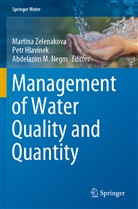 Pet Hlavínek, Petr Hlavínek, Abdelazim M Negm, Abdelazim M Negm, Abdelazim M. Negm, Martina Zelenakova - Management of Water Quality and Quantity