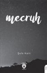 Sule Kain - Mecruh