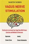 Martin Norris - Vagus Nerve Stimulation