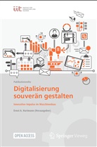 Erns A Hartmann, Ernst A Hartmann, Erns Andreas Hartmann, Ernst A. Hartmann, Ernst Andreas Hartmann - Digitalisierung souverän gestalten