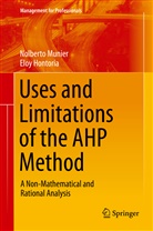 Eloy Hontoria, Nolbert Munier, Nolberto Munier - The Analytical Hierarchy Process Method