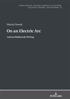 Maciej Nowak, Ryszard Nycz - On an Electric Arc