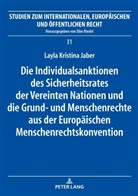 Layla Kristina Jaber, Eibe Riedel - Die Individualsanktionen des Sicherheitsrates der Vereinten Nationen und die Grund- und Menschenrechte aus der Europäischen Menschenrechtskonvention