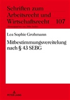 Lea Sophie Grohmann, Abbo Junker - Mitbestimmungsvereitelung nach    43 SEBG