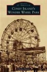 Charles Denson - Coney Island's Wonder Wheel Park