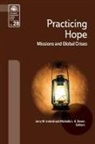 Jerry Ireland, Michelle Raven, Jerry M Ireland, Jerry M. Ireland, Michelle L K Raven, Michelle L. K. Raven - Practicing Hope