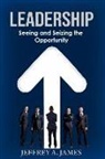 Jeffrey a. James - Leadership: Seeing and Seizing the Opportunity