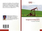 Rafik Baouche - Imagerie en diagraphie