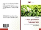 M. Medjdoub Bensaad F., Aissaoui Fatima - La teigne de pomme de terre Phthorimaea operculella Zeller