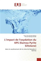 Nicolas Kasongo Numbi, Isaac Toto Kyanda Kaboza - L'impact de l'oxydation du KPS (Kamoa Pyrite Siltstone)