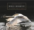 Raymond Beggan - Winged Encounters