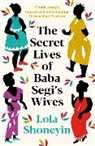 Lola Shoneyin, Shoneyin Lola - The Secret Lives of Baba Segi's Wives