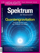 Spektrum der Wissenschaft - Quantengravitation