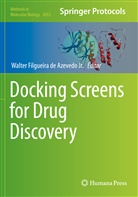 Walter Filgueira de Azevedo Jr., Walte Filgueira de Azevedo Jr, Walter Filgueira de Azevedo Jr - Docking Screens for Drug Discovery