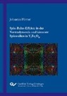 Johannes Förster - Spin-Bahn-Effekte in der Vortexdynamik und kürzeste Spinwellen in Y3Fe5O12