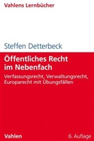 Steffen Detterbeck, Steffen (Prof. Dr.) Detterbeck - Öffentliches Recht im Nebenfach