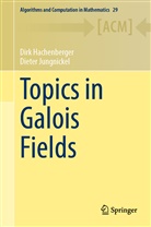 Dir Hachenberger, Dirk Hachenberger, Dieter Jungnickel - Topics in Galois Fields