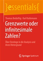 Thoma Bedürftig, Thomas Bedürftig, Karl Kuhlemann - Grenzwerte oder infinitesimale Zahlen?