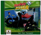 Frauke Nahrgang - Die Teufelskicker - Der Strafraum-Streuner!, 1 Audio-CD (Audio book)