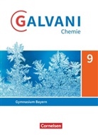 Birger Pistohl, Britta Frese, Christine Kreß, Frank Orlik, Britt Frese, Britta Frese... - Galvani - Chemie für Gymnasien - Ausgabe B - Für naturwissenschaftlich-technologische Gymnasien in Bayern - Neubearbeitung - 9. Jahrgangsstufe Schülerbuch
