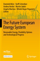 Andrea Herbst, Andrea Herbst et al, Martin Jakob, Angelo Martino, Dominik Möst, Witold-Roger Poganietz... - The Future European Energy System