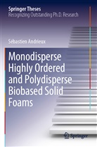 Sébastien Andrieux - Monodisperse Highly Ordered and Polydisperse Biobased Solid Foams