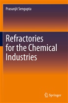 Prasunjit Sengupta - Refractories for the Chemical Industries