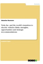 Sebastian Neumann - Tesla, Inc. and the world's transition to electric vehicles. Risks, strenghts, opportunities and strategic reccommendations